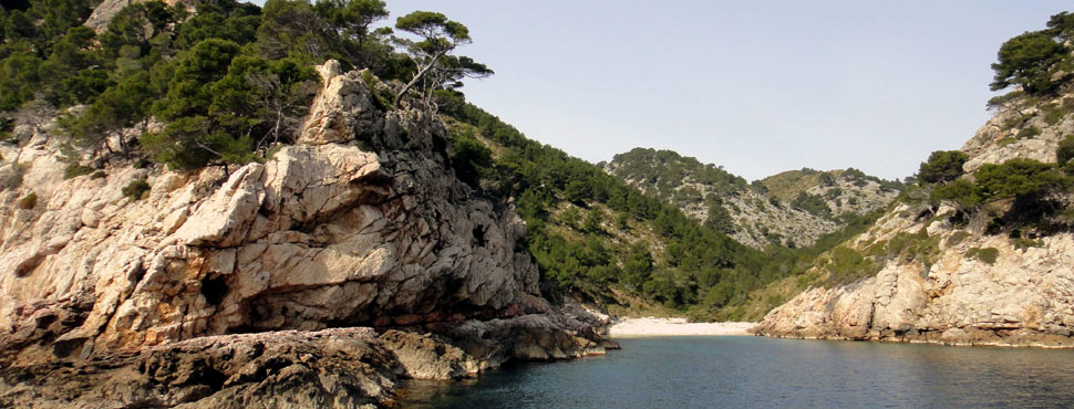 Cala en Feliu